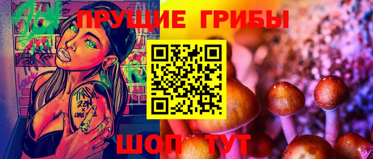 Галлюциногенные грибы Cubensis Пенза