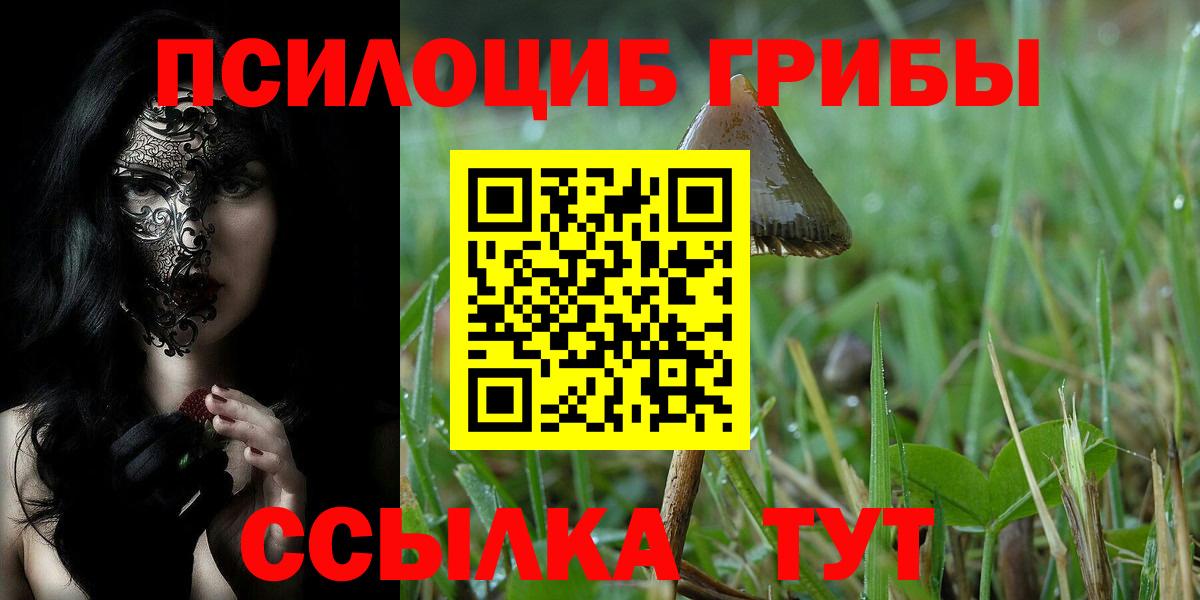 Галлюциногенные грибы GOLDEN TEACHER  Вход с VPN  Пенза 